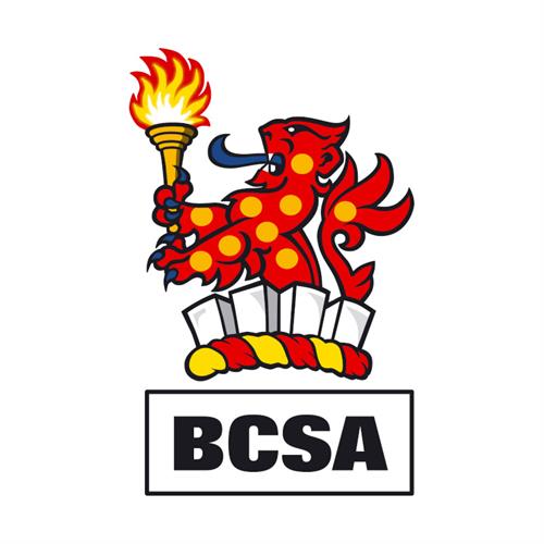 BCSA logo British Constructional Steelwork Association